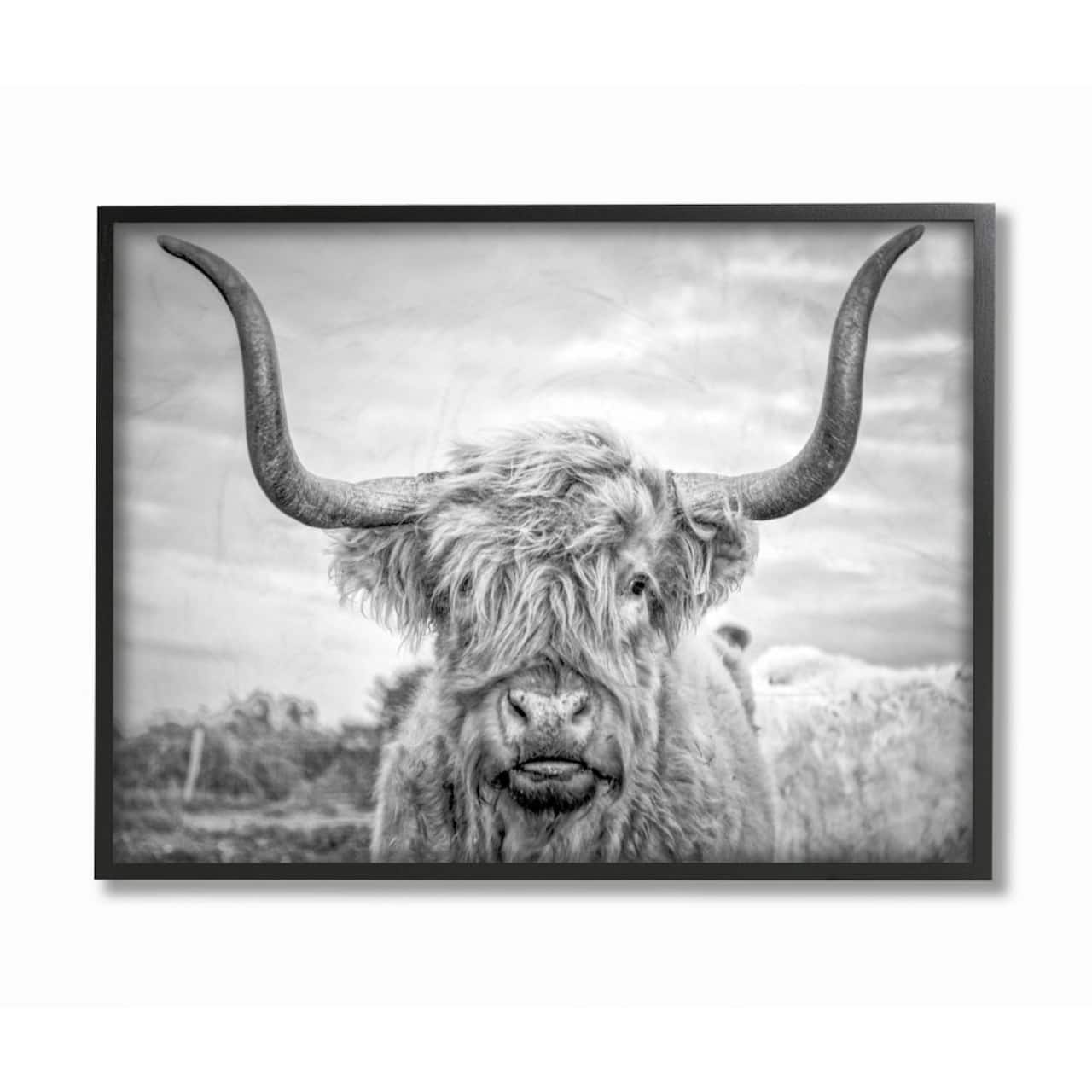 Stupell Industries Black & White Highland Cow Wall Art in Black Frame